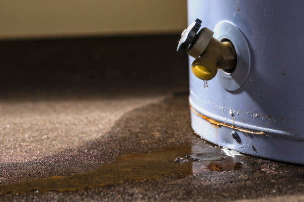 Best Professional water damage repair  in Carey, OH