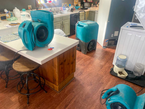 Best Basement water damage restoration  in Carey, OH