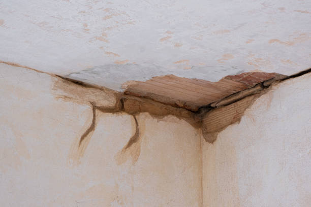 Best Water damage restoration near me  in Carey, OH