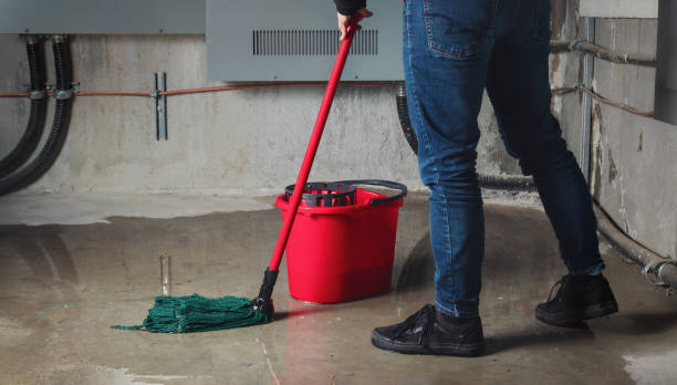 Best Flooded house restoration  in Carey, OH