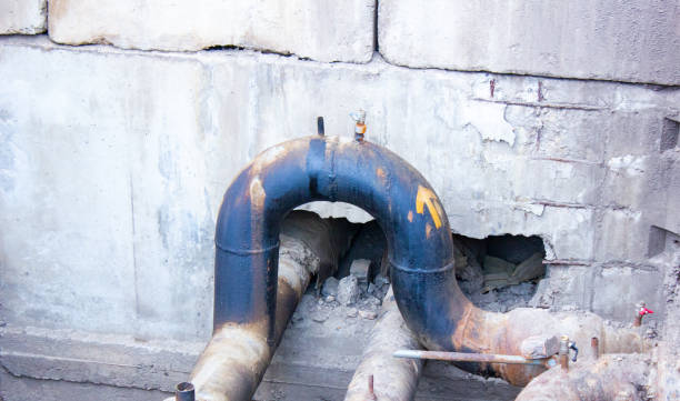 Best Water damage contractors near me  in Carey, OH